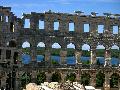 Pula amfitetrum